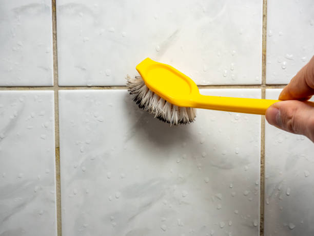 Best DIY Mold Remediation Support Services in La Ada Flintridge, CA