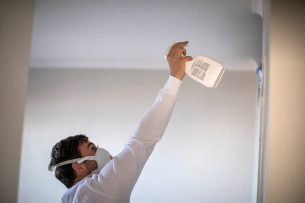 Best Insurance-Related Mold Remediation in La Ada Flintridge, CA